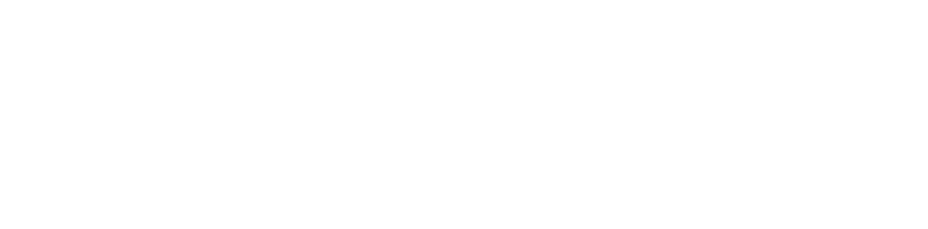 Synapse Consultants